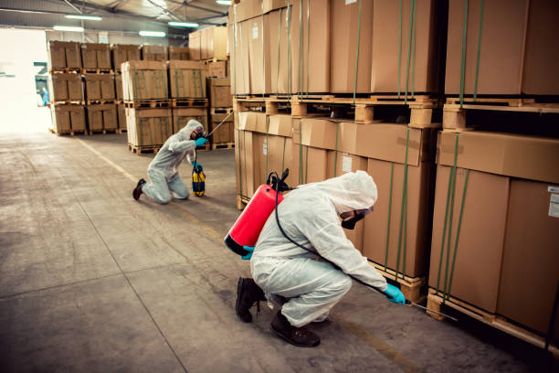 Best Best Pest Control Companies  in Lake Kiowa, TX