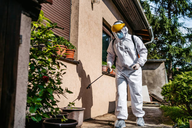Best Pest Removal Services  in Lake Kiowa, TX
