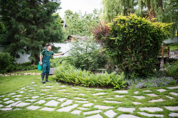 Best Ant Control Services  in Lake Kiowa, TX