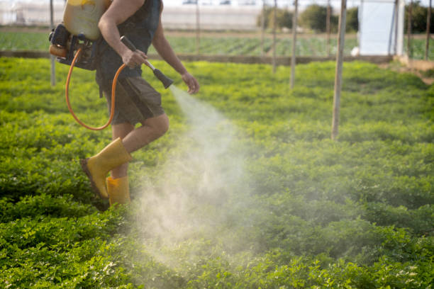 Best Commercial Pest Control Services  in Lake Kiowa, TX