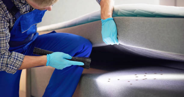 Best Affordable Pest Control Services  in Lake Kiowa, TX